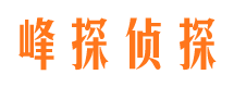 嵩县市私家侦探公司